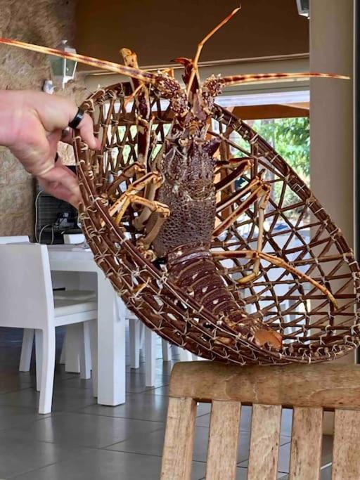 Vignarella Meuble De Tourisme Classe 5 Etoiles Avec Terrasse *