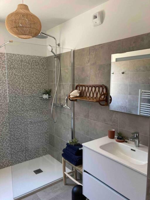 Appartamento Vignarella Meuble De Tourisme Classe 5 Etoiles Avec Terrasse Piana (Corsica)