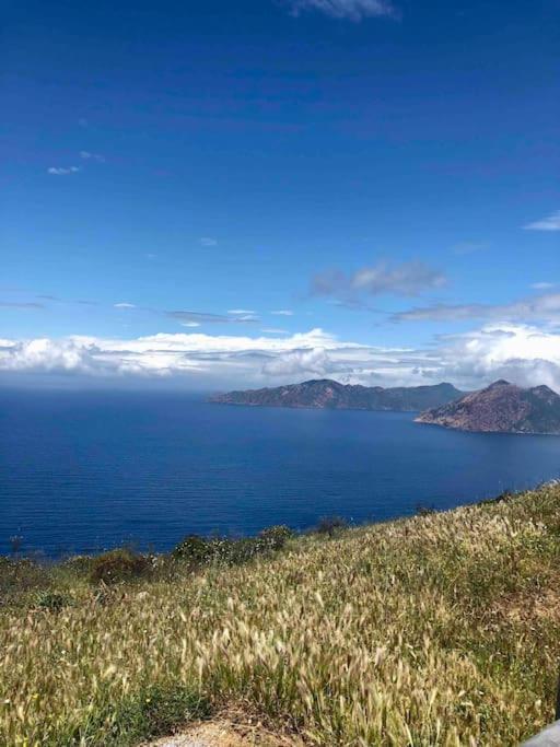 Vignarella Meuble De Tourisme Classe 5 Etoiles Avec Terrasse Piana (Corsica)