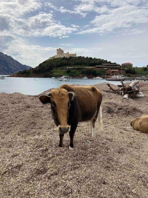 Vignarella Meuble De Tourisme Classe 5 Etoiles Avec Terrasse *